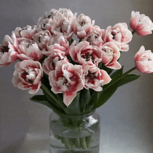 Spring Holiday Roundup The Quality Edit